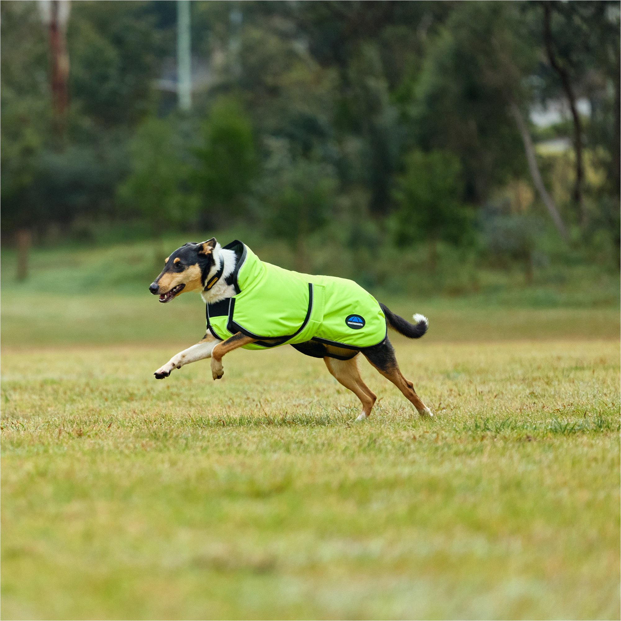 2025 Weatherbeeta Comfitec Reflective 300D Deluxe Showerproof Dog Coat 1029050 - Yellow
